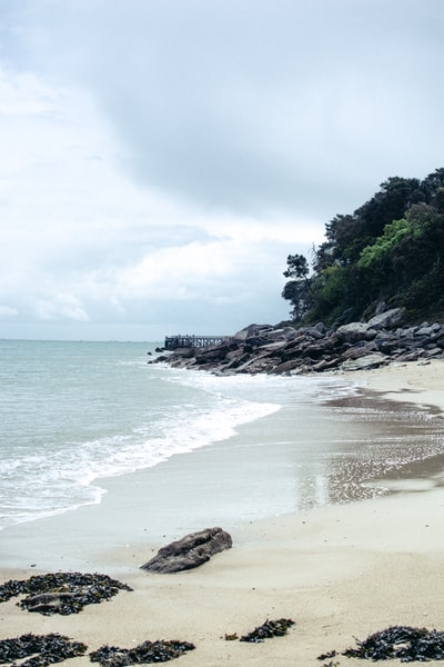 树木环抱的岛屿景观摄影